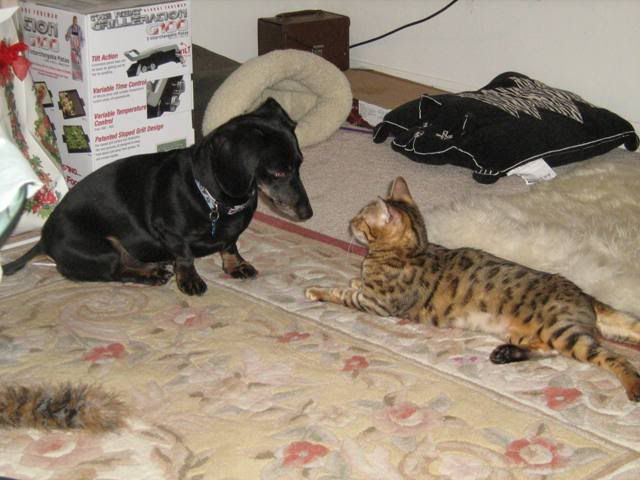 Oscar and Lucia