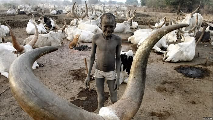 African boy between Cows