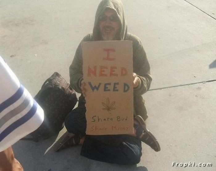I need weed, share bud, share money