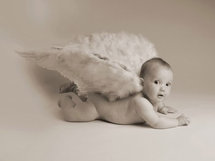 Born angel with wings