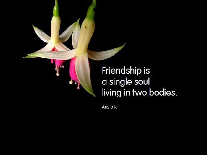 Friendship Wallpapers With Quotes