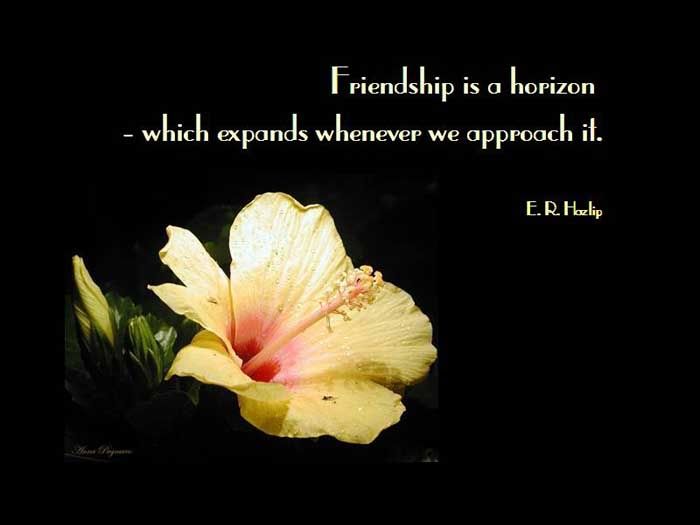 friendship expands when