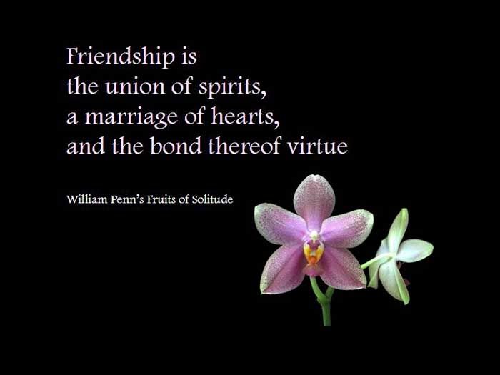 friendship is the union of spirits