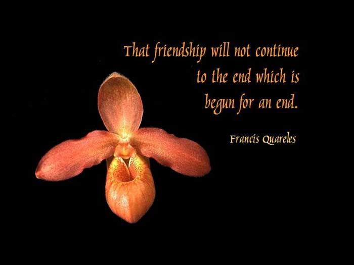 friendship will not continue