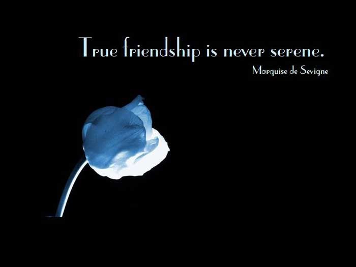 friendship is never serene