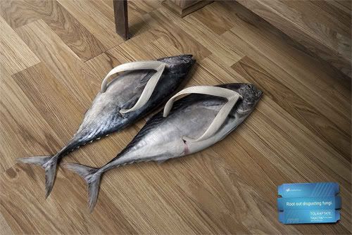 Do you want to wear these slippers (funny)