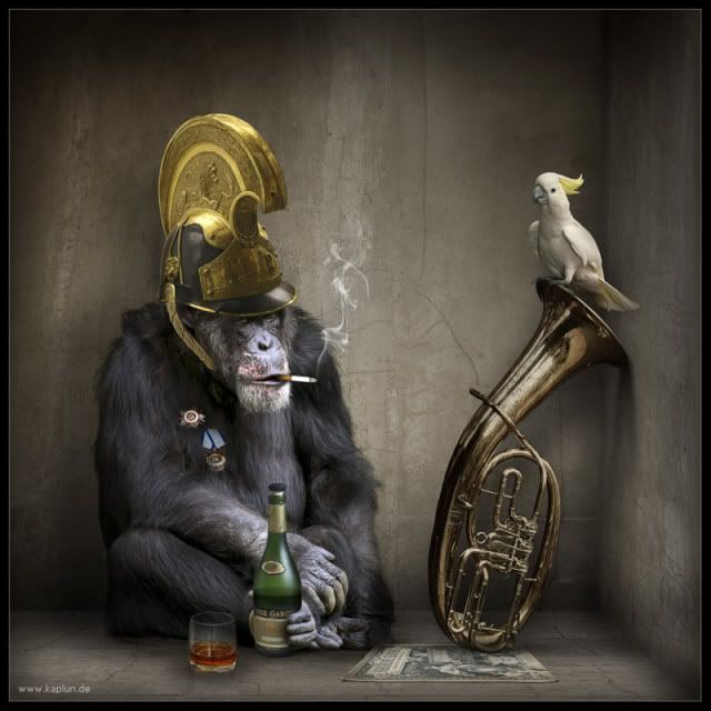 monkey taking smoking and drinking bear