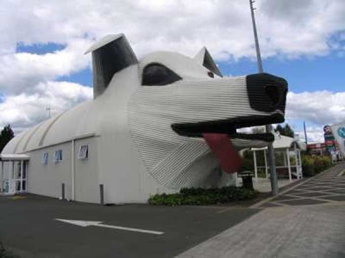 dog building