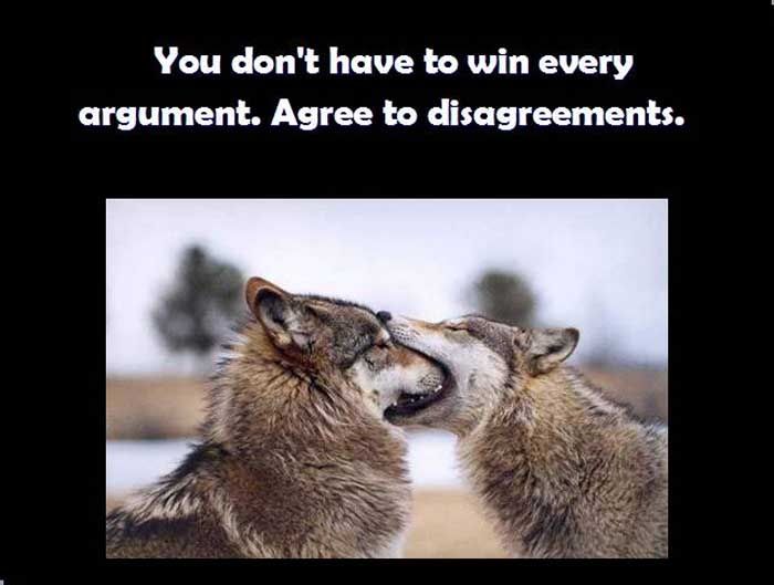 agree to disagreement