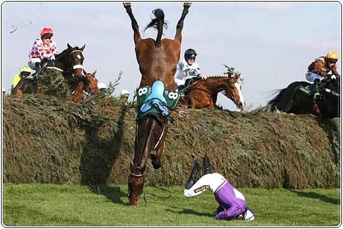 falling horse funny