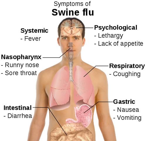Symptoms Of Swine Flu. Swine Flu Symptoms -
