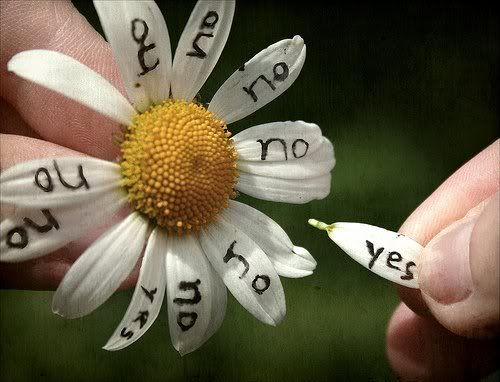 i love you yes no?best pics