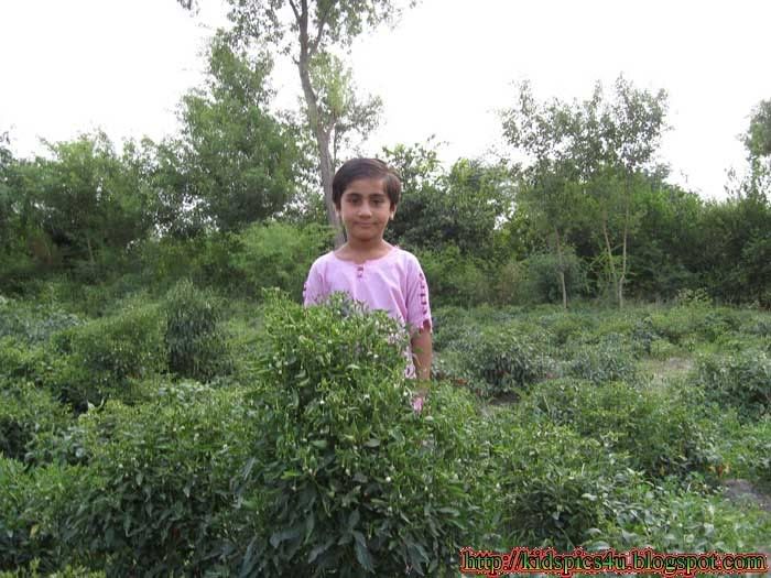 Picture of Aleeza Shehnaz in Garden