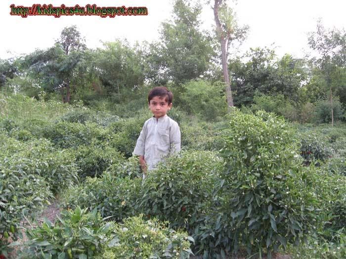 Pictures of Zain Athar in garden