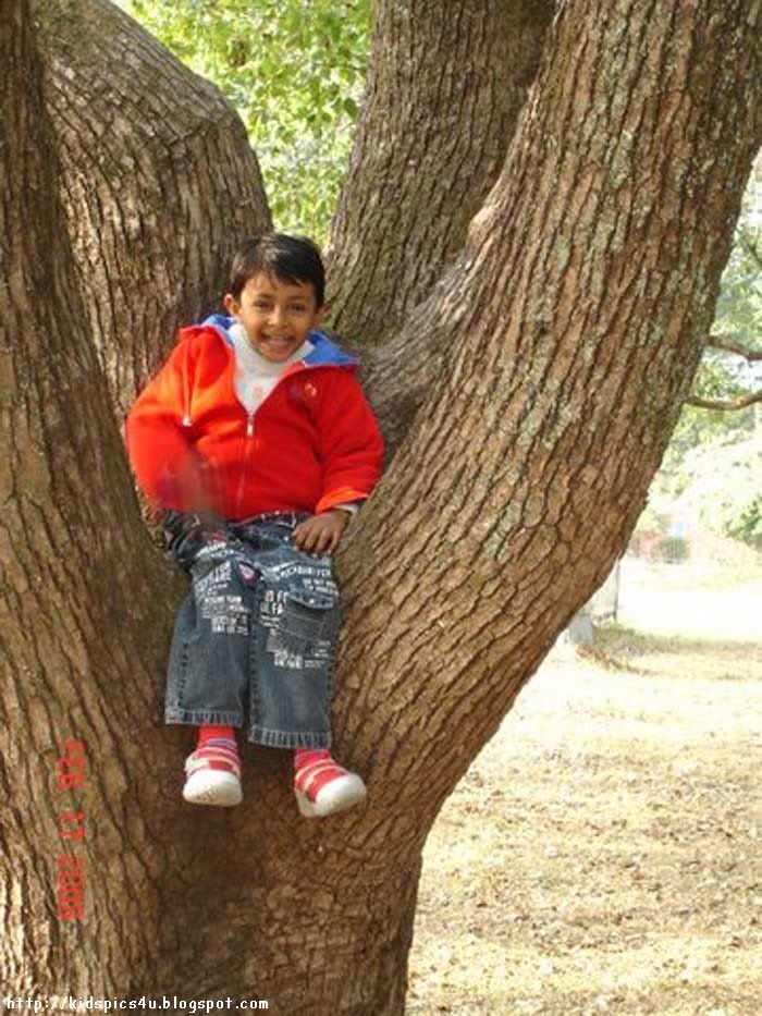 child on tree