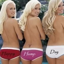 HUMP DAY NEVER LOOKED SO GOOD!!!!