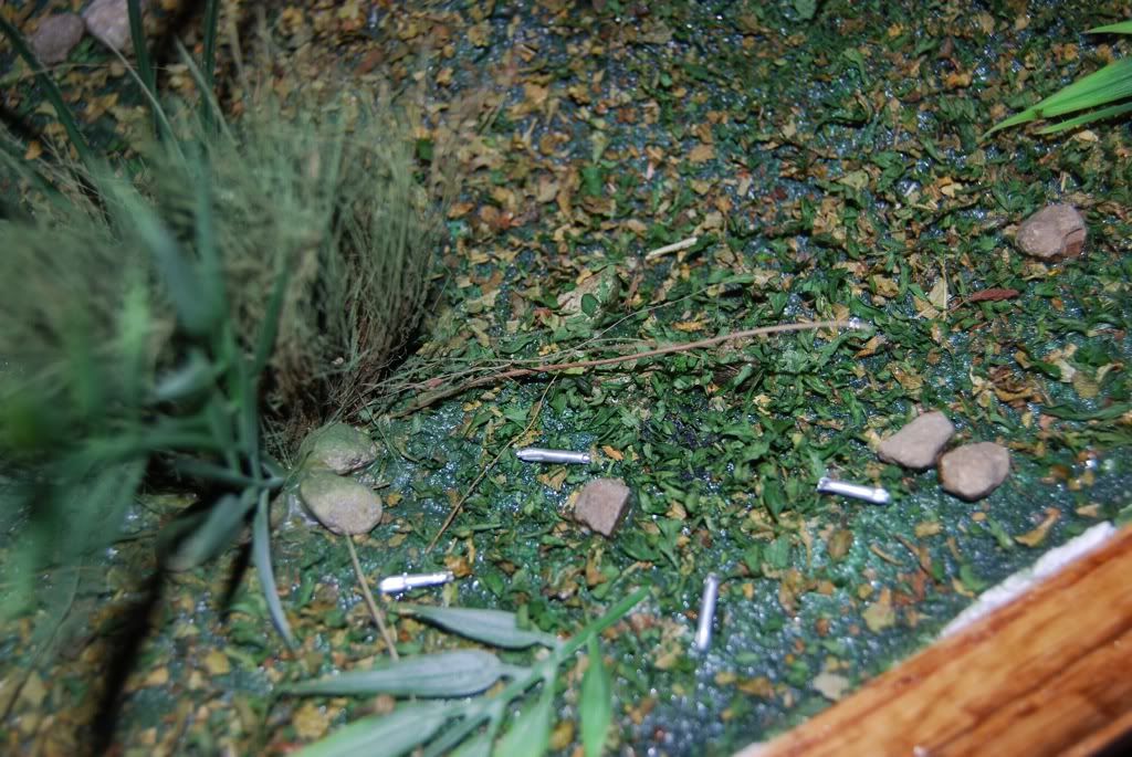 c22f3b65.jpg