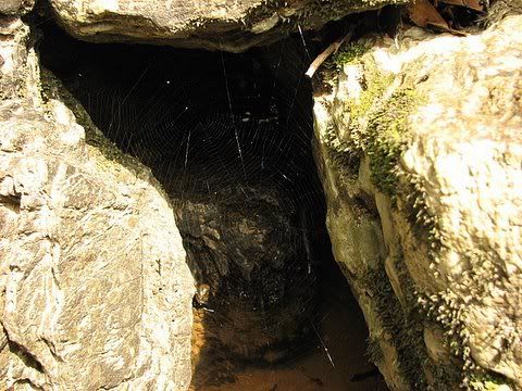 webs in the rock at jogigundi