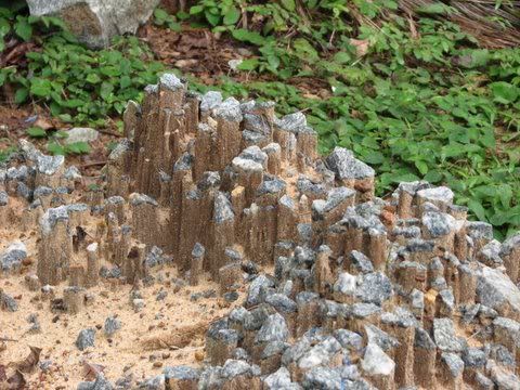 termites' nest pushing up granite chips