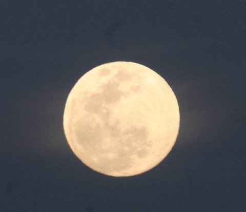large full moon of 2009