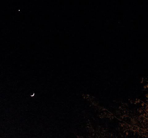 moon and star jpnagar 311008