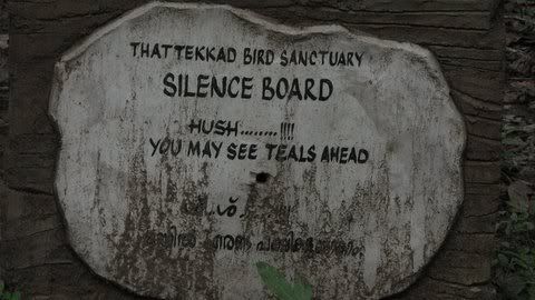 silence, teals ahead