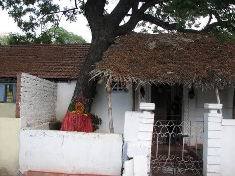 old house and venerated tree