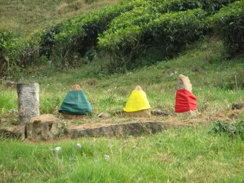 110109 valparai sacred cloth covered stones