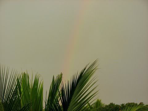 rainbow view ca 030908