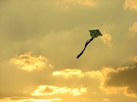 kite evening sky madivala lake 180109