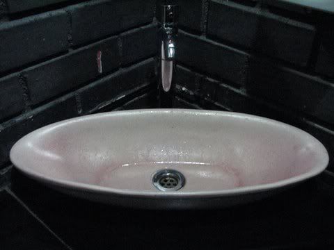elongated washbasin nani auditorium 090209