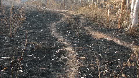 burnt slopes turahalli 220209