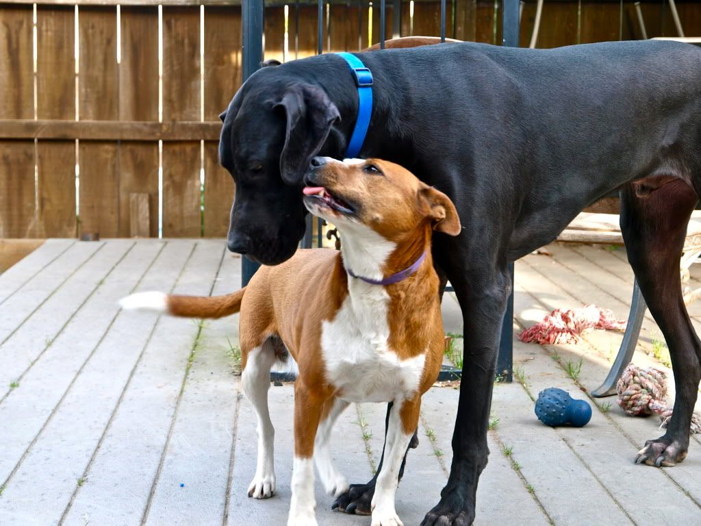 301 Moved Permanently