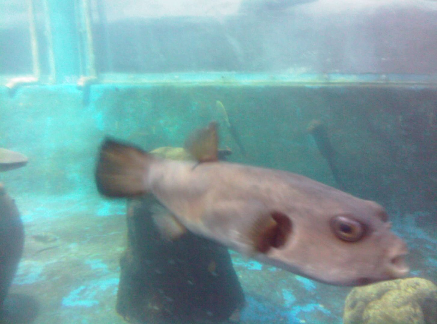 Đi Đà Lat ban đêm bằng xe máy có được không? - 2