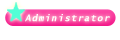 Admin Admin