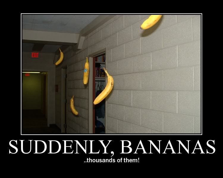 http://i297.photobucket.com/albums/mm208/stella_maris24/Funny%20Pics/FunnyPictures265.jpg