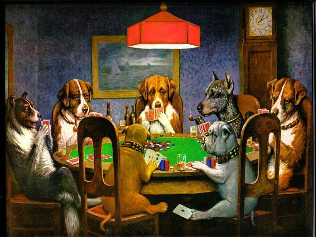 Braxton Fox Poker