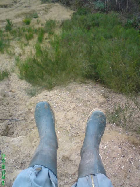 Picture243.jpg
