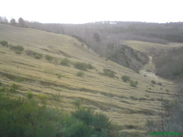Picture246.jpg
