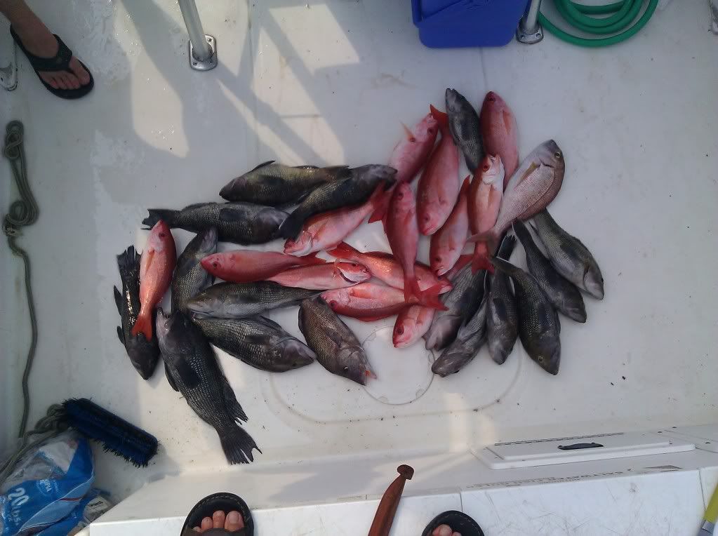 IMG_20110820_162404.jpg
