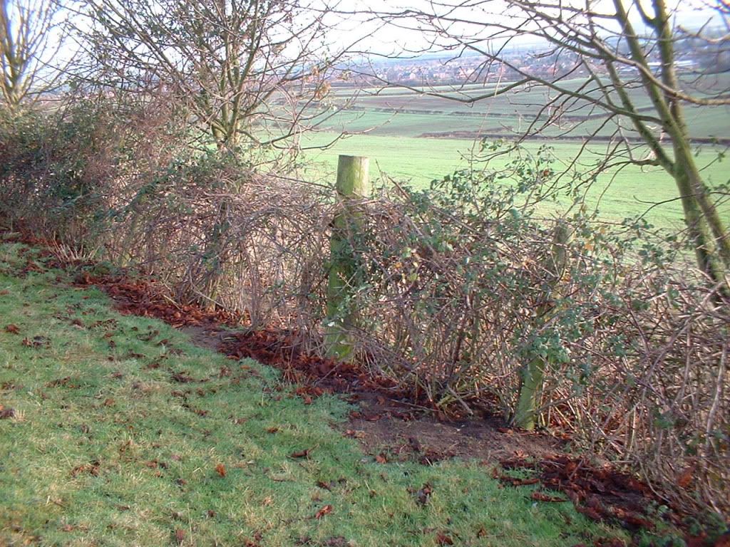 009-13.jpg