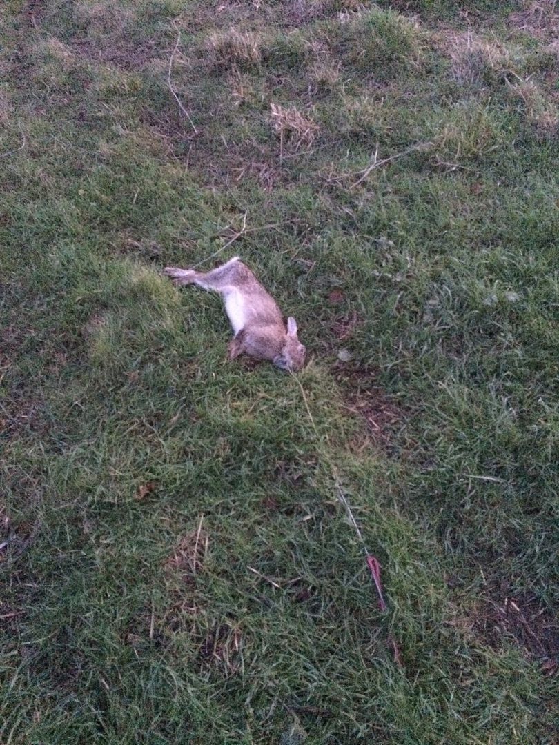 E615E4E0-13FA-4CD6-A2BC-156FF84E9467_zps