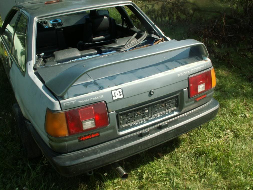 Obrázek