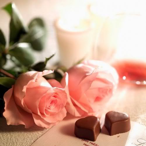 Pink Roses &amp; Chocolate Pictures, Images and Photos