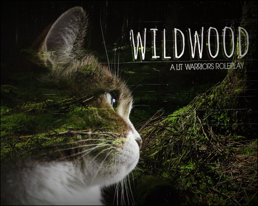 Wildwood: A Warriors Roleplay