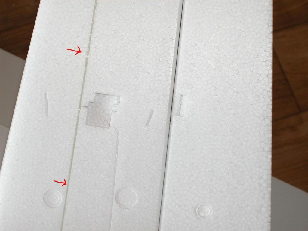 Detailvleugel.jpg