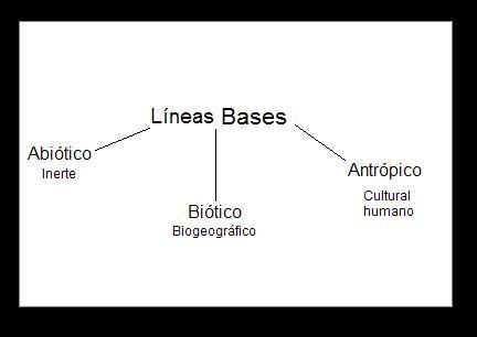 Lineas bases