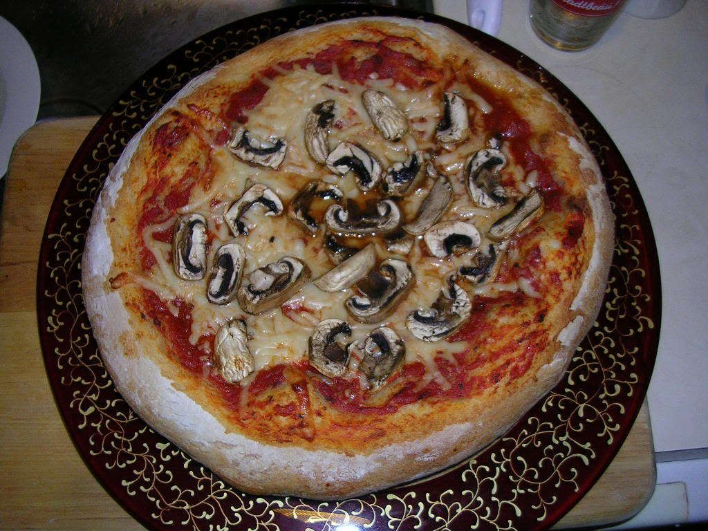 DSCN9346.jpg mushroom pizza (vegan) image by openmediaboston