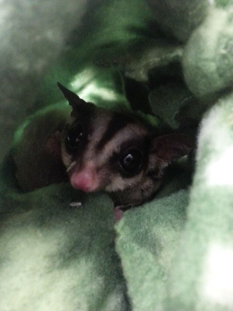 11707536_10204809866461900_4201310786051