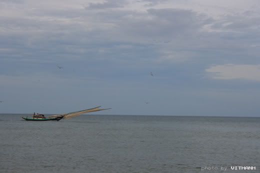 Biển thạch hải Biển thạch hải - hà tĩnh - vietbalo.vn